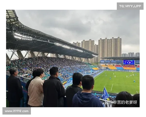 热爱与集体激情:球迷文化的深度探索 热爱与集体激情:球迷文化的深度探索